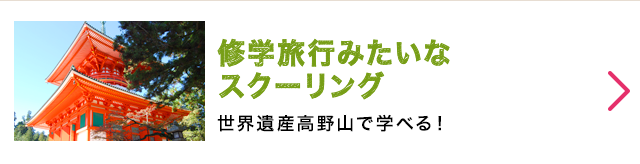 修学旅行みたいなスクーリング